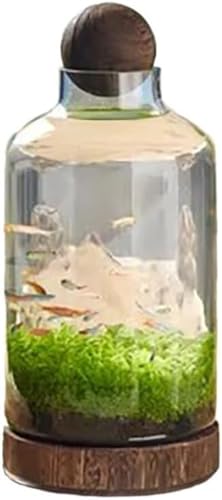 GEBYUI ]_KX ؐx[Xii ~NhXP[vԊϏܕr k{gZbg rO//oRj[/֑CeA?