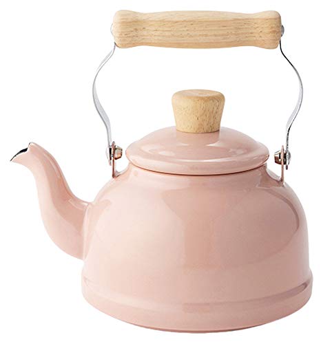 Fuji Hollow Kettle CTN-1.6 KAP Ash Pink Enameled Induction Compatible Cotton