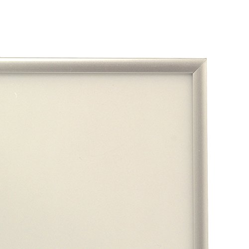 Apj Fit Frame A4 (210X297Mm) Silver (Japan Import) #TOP1