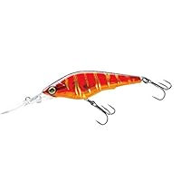 ハードルアー シャッド Amazon.co.jp: DUEL(デュエル) HARDCORE(ハードコア) ルアー