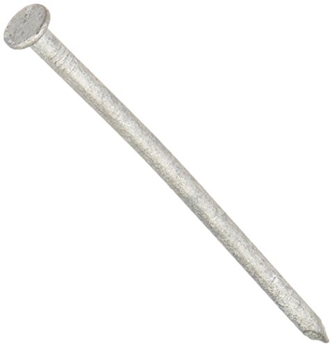 HILLMAN FASTENERS 461473 4" 20D Galvanized Common Nail #1