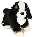Zaloop Berner Sennenhund ca. 24 cm Plüschtier Bernersennenhund 120