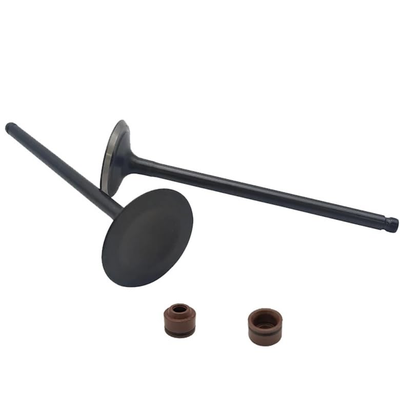 Kit de válvula for L-Pard 500 600 650 ATV 100701-102-0000(2 Sets)
