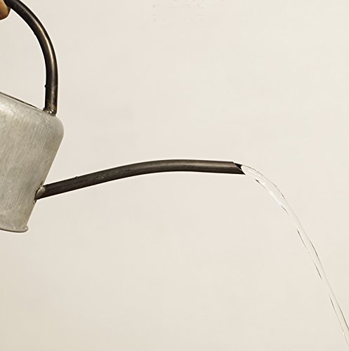 Layboo Retro Style Gorgeous Long Spout/Iron Watering Can Gardening Tool 1.7 L(Old zinc Color)