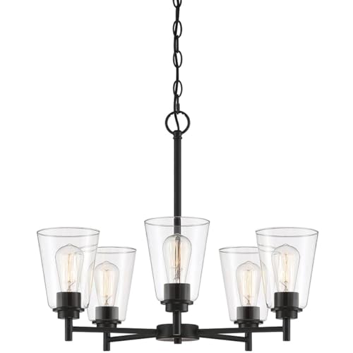 DESIGNERS FOUNTAIN 5-Lights Chandelier, 24 Inch Modern Ceiling Fixture for Kitchen, Dining Room, Bedroom, Foyer, and Living Room, Steel and Glass, Matte Black, 95785-MB