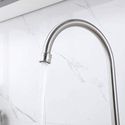 Hotis Stainless Steel Two Handle Kitchen Faucet for Mobile Motor Homes,Trailers, Campers , Brushed Nickel Lead-Free Faucet Kitchen