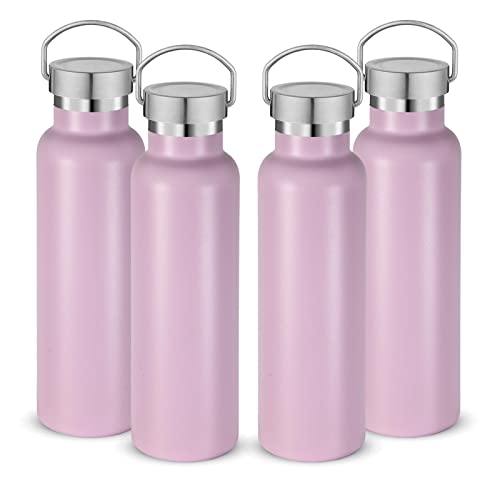 Neihepal Botellas de agua aisladas de 20 onzas a granel, paquete de 4, botella deportiva de doble pared de acero inoxidable con tapa de asa, termo reutilizable de metal con tapa de taza para la