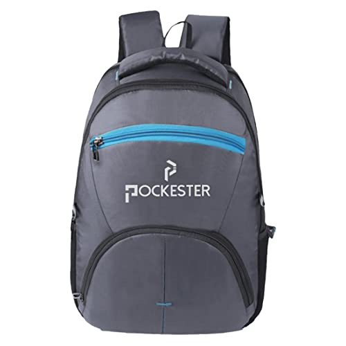 Pockester Large 30 L Laptop/Office/College/School/Travel Unisex Backpack (Compatible with 15.6 inch laptop) (Grey) (B0C47L6XMK) Amazon Price History, Amazon Price Tracker