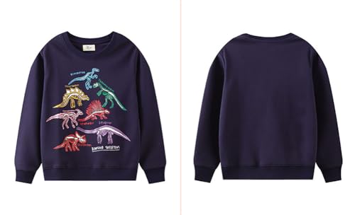 Boys Sweatshirts Long Sleeve Sweatshirts T-shirts Crew Neck Cotton Casual Sweatshirts Cartoon Tops for Boys-1973