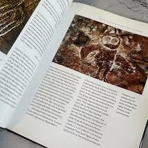 Owls of the World - Rob Hume世界のフクロウ図鑑　洋書 Owls of the World - Rob Hume世界のフクロウ図鑑 洋書 - メルカリ