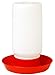 Little Giant® Screw-On Poultry Jar | 1 Quart | Heavy Duty Translucent Plastic Container for Waterer or Feeder | Backyard Chickens | Made in USA