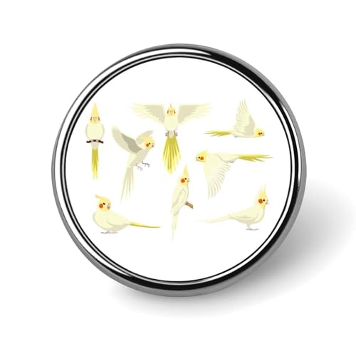 obW ~` J 킢 IJCR ʃobW  sob` {^u[` 25mm  lN^Cs RNV obO Xq  ΂| H|i tȒP jp v[g