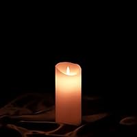 Algopix Similar Product 18 - ETRONIC Real Wax 3D Dancing Flame