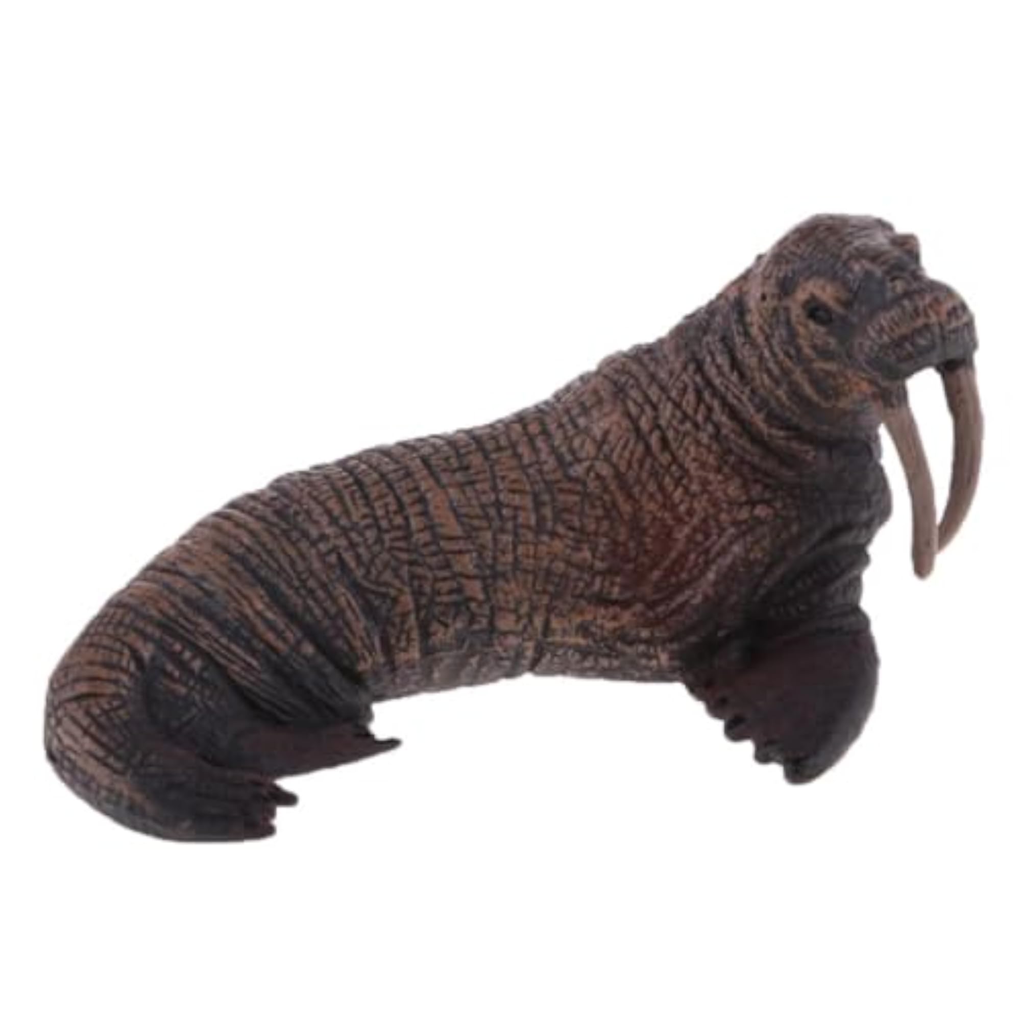 Marine Animal Model Walrus Ornaments Toy