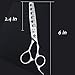 Dream Reach Professional 6 inch Hair Cutting Scissors, Japanese 440C Steel Thinning Shear for Men/Women Cutting for Salon/Barber/Home