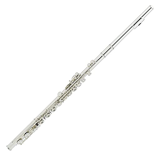 Flauta Fl-428 Curve E Split Key Instrumento de Flauta de 16 Agujeros C Cobre Plata Accesorios Gratis para Principiantes Puede ser Utilizado por niños