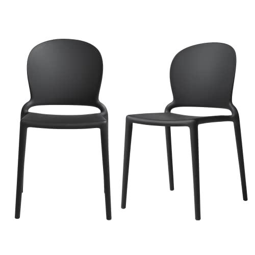 LESHI Dinning Chair, Round Back Chairs Minimalist Style Creative Design Modern Chairs for Kitchen Dining Room Chairs Patio Indoor Outdoor - Set of 2, Premium Plastic, Black