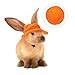 Happyyami Mini Pet Hat for Small Animals Bunny Costume Accessory Easy to Wear Durable Felt Material for Photoshoots Cosplay Parties and Holiday Celebrations