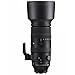 シグマ 60-600mm F4.5-6.3 DG DN OS Sports ライカL用