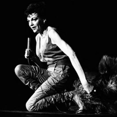 『5: The Lives, Deaths and Afterlives of Judy Garland』のカバーアート