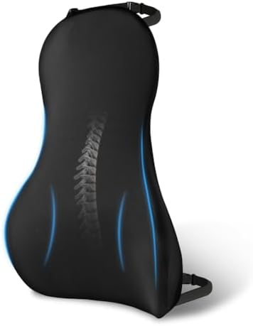 Ainiv Ergonomic Lumbar Support Cushion, Car Lumbar Cushion with A...