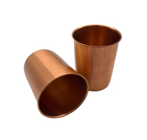 AB India Crafts Lot de 2 gobelets en cuivre Ayurveda de qualité supérieure - 99,9 % cuivre pur - 250 ml - Fabriqué à la main en Inde - Traditionnel (Plain)