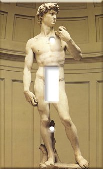 Art Plates Single Gang Toggle Switch Plate Cover - Decorative Michelangelo's David Printed Wall Plate (Made in USA)