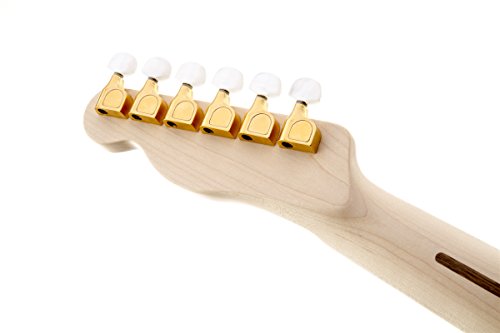 Fender James Burton Telecaster, Maple Fretboard - Red Paisley Flames #TOP5