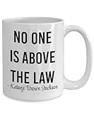 Ketanji Brown Jackson Mug, No One Is Above the Law Mug, Kbj Coffee Mug, Supreme Court Justice Mug Funny Mug, Cup, Coffee Mug, Office Mug, 11 Oz Mugs