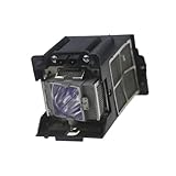 Projector Bare Lamp with Housing Fit for Barco R9832752 RLM W8 with Projector