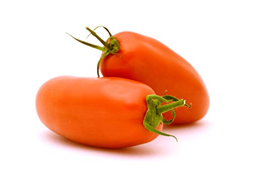Creative Farmer Vegetable Seeds Grape Tomatoe Sized Oval Tomato Seeds - Tomato Oval Seeds Home Garden Seeds (B07N47XGJ1) Amazon Price History, Amazon Price Tracker
