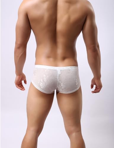 Men's Sexy Boxer Briefs Lace Underwear Breathable Cheeky Underpants Soft Bikini Stretch Trunks with Pouch S-2XL3