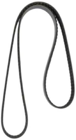 Continental OE Technology Series 4080535 - Correa multiV de 8 varillas, 53.5"