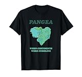 Reunite Pangea Funny Geology