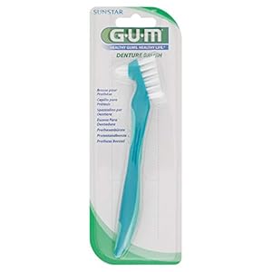Gum Prothese Borstel
