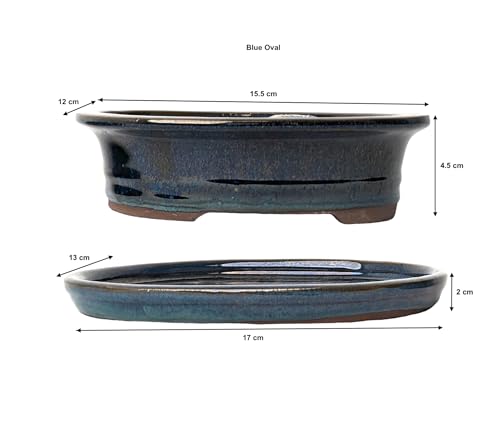 Glazed Ceramic Bonsai Pots with Matching Drip Trays (Blue, 16cm) - Image 3