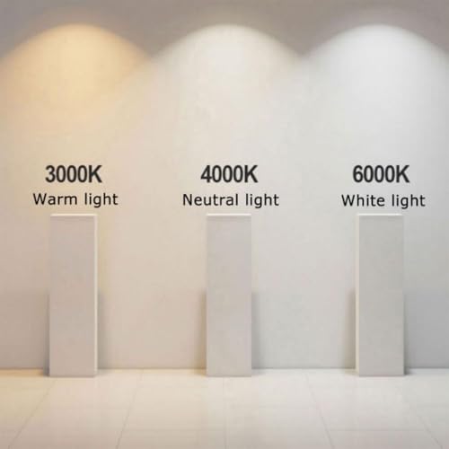Applique murale extérieure LED pour remplacer un éclairage énergivore - 2