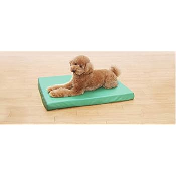 Amazon 3層のクッションで体圧を分散 床ずれ 寝たきりのワンちゃんなどに 犬 介護ベッド 床ずれ防止 防水マットレス グリーン 犬 いぬ イヌ 老犬 介護用品 寝たきり 中型 小型 大型犬 介護用 ベッド マット クッション 犬用 介護 M ワラ犬 ベッド Amazon 3層のクッションで体圧を分散 床ずれ 寝たきりのワンちゃんなどに 犬 介護ベッド 床ずれ防止 防水マットレス グリーン 犬 いぬ イヌ 老犬 介護用品 寝たきり 中型 小型 大型犬 介護用 ベッド マット クッション 犬用 介護 M ワラ犬 ベッド