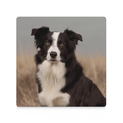 Dessous de verre Border Collie en céramique absorbante lot de 4 pour table basse - 4