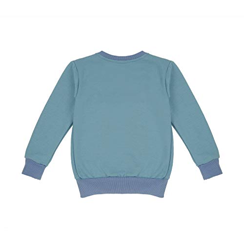 Image of Gubbarey Girl's Fleece Sweatshirt (SS1053 Blue 6 7 Years)