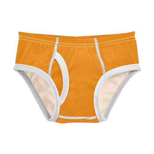 Dark Orange Boys' Underwear Cotton Boys Briefs Soft Toddler Underwear 2T