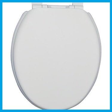 Woolworths Plastic Toilet Seat (White)