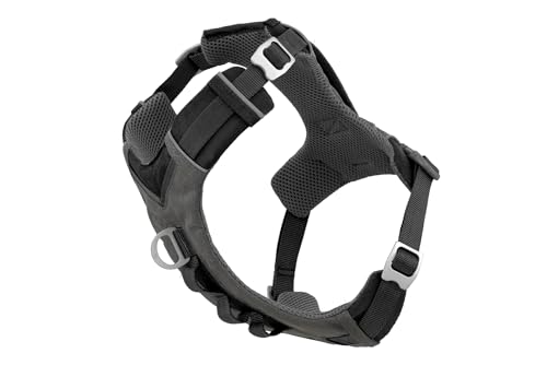 Kurgo Journey Air (Medium)