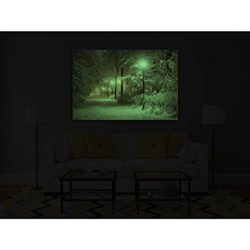 Toile nature luminescente grand format 80x120 cm tableau décoratif nuit - 4