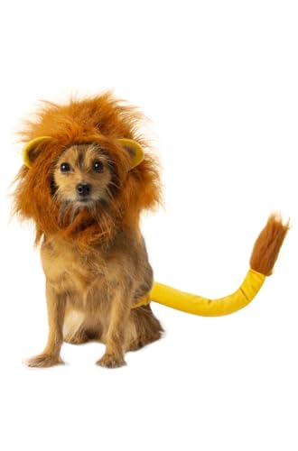 Rubie's Disney Lion King Pet Costume Accessory Set, Simba, Medium/Large