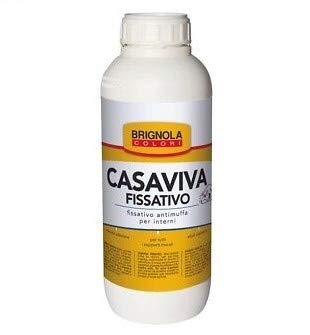 FISSATIVO ANTIMUFFA PER INTERNI BRIGNOLA Lt. 1