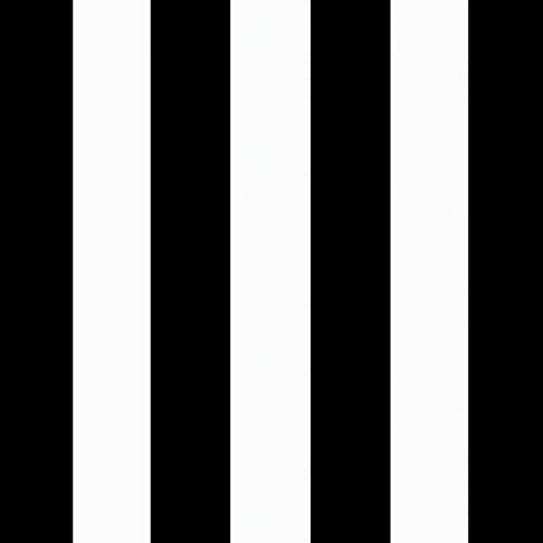 Image of Arden Deep Seat Outdoor Chair Cushion Set (2-Pack), 24 in x 24 in, Weather-Proof, Rain-Proof, Fade Resistant Patio Cushion Set for Chair, Sofa, and Couch Black Cabana Stripe