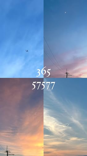 365/57577: 毎日一句2024