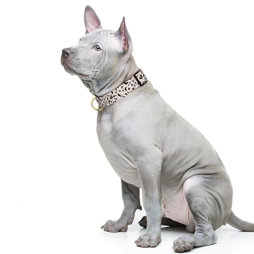 Reflective Dog Collar for Medium Dogs, Cute Leopard Style Adjustable Heavy-Duty Nylon Puppy Collar for Boy and Girl Female, Soft Pet Accessories with Quick Release Buckle, Beige - Image 3