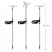 VIBELITE Solar Garden Lights Outdoor,Solar Garden Stake Lights, Decorative Lights Hummingbird Butterfly Dragonfly for Path, Yard, Lawn, Patio [Set of 3]
